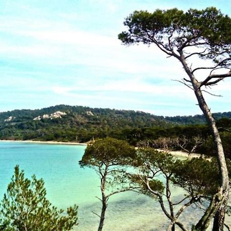 Ile De Porquerolles : T3 Climatise Vue Mer Zewnętrze zdjęcie