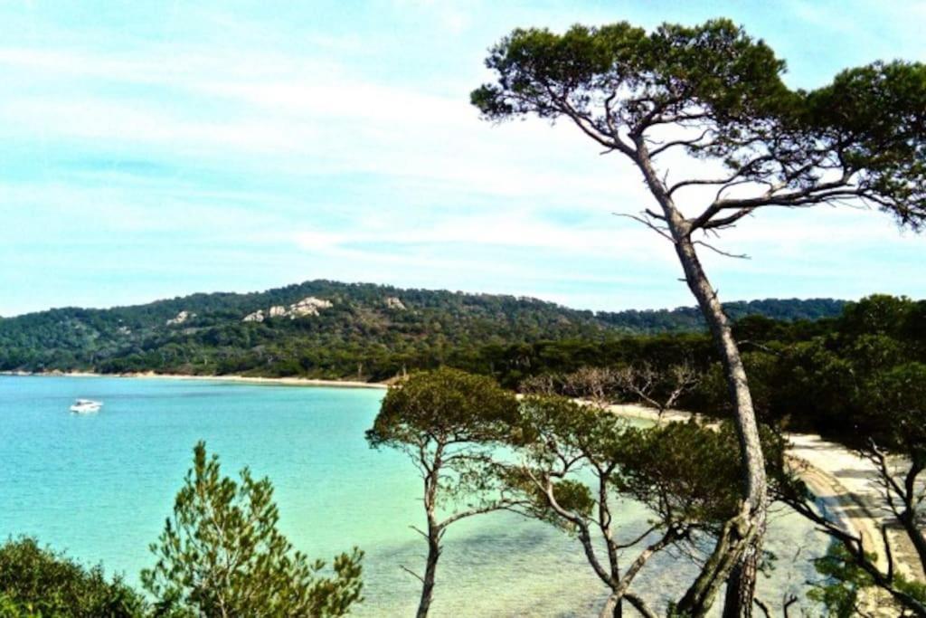 Ile De Porquerolles : T3 Climatise Vue Mer Zewnętrze zdjęcie